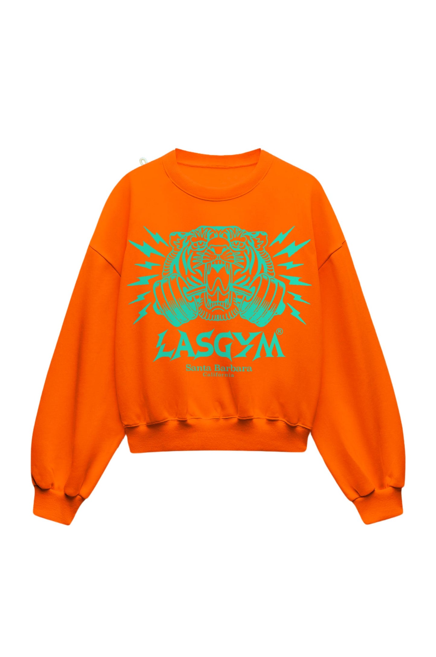 Oversized PalmSpring sweatshirt