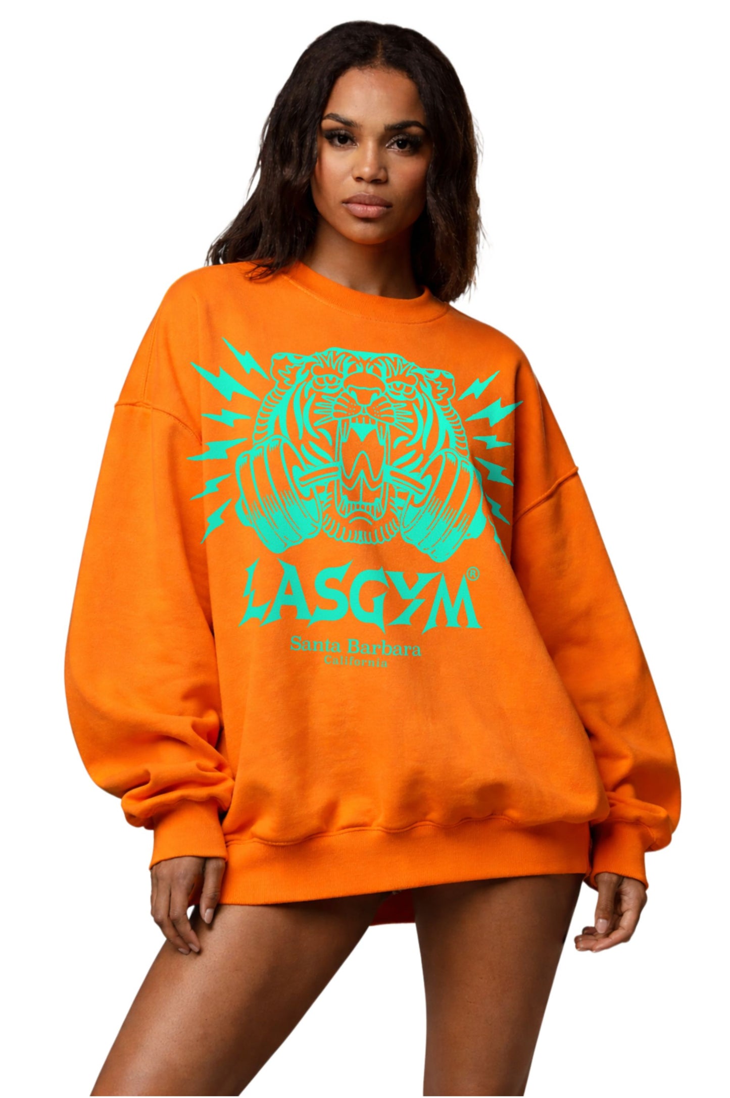Oversized PalmSpring sweatshirt