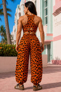Top Brazil Leopard